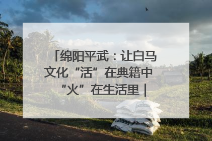 绵阳平武：让白马文化“活”在典籍中 “火”在生活里｜新闻发布最前线