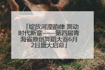 绽放河湟韵律 舞动时代新章——第四届青海省原创舞蹈大赛6月2日盛大启幕