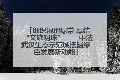 细织湿地绿带 厚结“文旅明珠”——中法武汉生态示范城挖掘绿色发展新动能