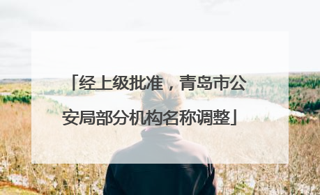 经上级批准，青岛市公安局部分机构名称调整