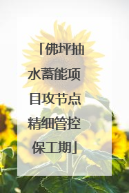 佛坪抽水蓄能项目攻节点精细管控保工期