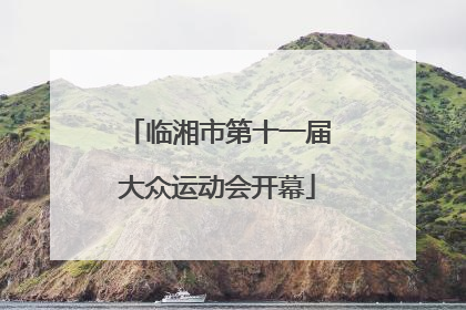 临湘市第十一届大众运动会开幕