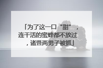 为了这一口“甜”，连干活的蜜蜂都不放过，诸暨两男子被抓