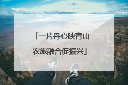 一片丹心映青山 农旅融合促振兴