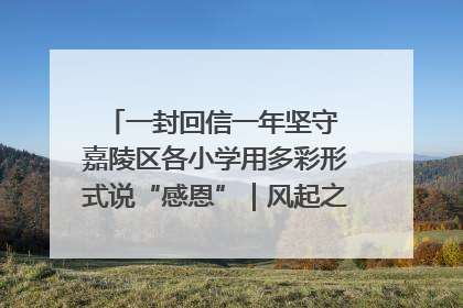 一封回信一年坚守 嘉陵区各小学用多彩形式说“感恩”｜风起之江 扶摇直上