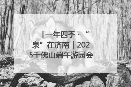 一年四季 · “泉”在济南｜2025千佛山端午游园会邀您共享亲子时光