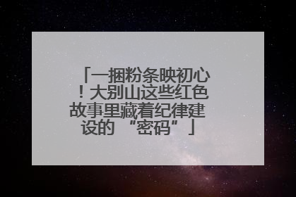 一捆粉条映初心！大别山这些红色故事里藏着纪律建设的 “密码”