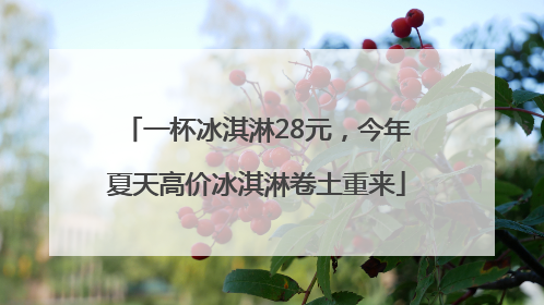 一杯冰淇淋28元，今年夏天高价冰淇淋卷土重来