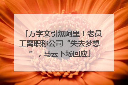 万字文引爆阿里！老员工离职称公司“失去梦想”，马云下场回应