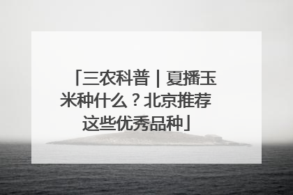 三农科普｜夏播玉米种什么？北京推荐这些优秀品种