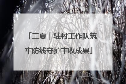 三夏｜驻村工作队筑牢防线守护丰收成果