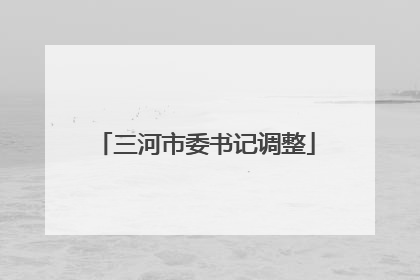 三河市委书记调整
