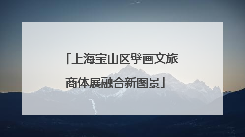 上海宝山区擘画文旅商体展融合新图景