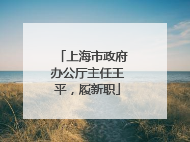 上海市政府办公厅主任王平，履新职