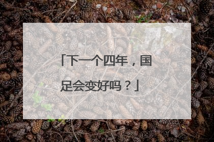 下一个四年，国足会变好吗？