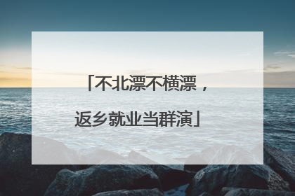 不北漂不横漂，返乡就业当群演