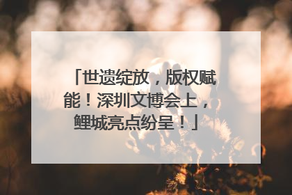 世遗绽放，版权赋能！深圳文博会上，鲤城亮点纷呈！