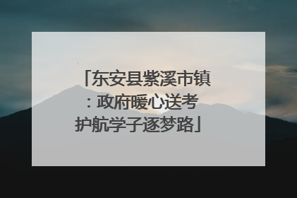 东安县紫溪市镇：政府暖心送考 护航学子逐梦路