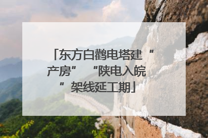 东方白鹳电塔建“产房” “陕电入皖”架线延工期