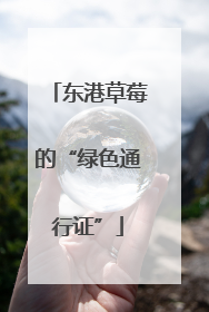 东港草莓的“绿色通行证”