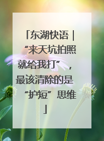 东湖快语｜“来天坑拍照就给我打”，最该清除的是“护短”思维