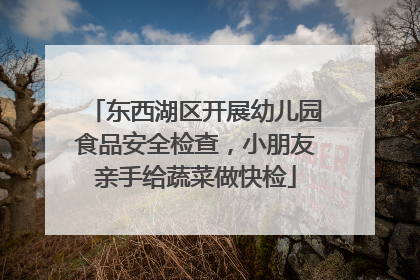 东西湖区开展幼儿园食品安全检查，小朋友亲手给蔬菜做快检