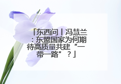 东西问丨冯慧兰：东盟国家为何期待高质量共建“一带一路”？