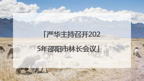 严华主持召开2025年邵阳市林长会议