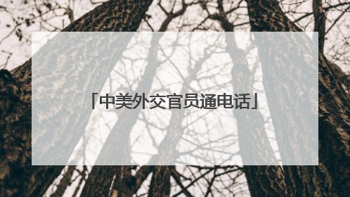 中美外交官员通电话