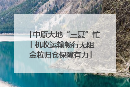 中原大地“三夏”忙丨机收运输畅行无阻 金粒归仓保障有力