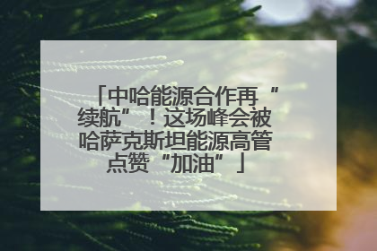 中哈能源合作再“续航”！这场峰会被哈萨克斯坦能源高管点赞“加油”