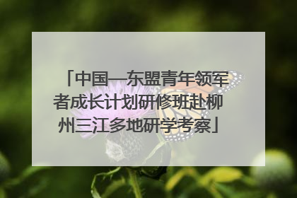 中国—东盟青年领军者成长计划研修班赴柳州三江多地研学考察