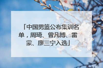 中国男篮公布集训名单，周琦、曾凡博、雷蒙、廖三宁入选