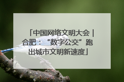 中国网络文明大会｜合肥：“数字公交”跑出城市文明新速度