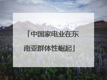中国家电业在东南亚群体性崛起
