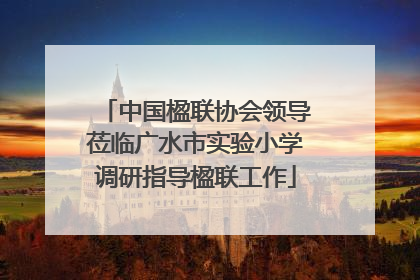 中国楹联协会领导莅临广水市实验小学调研指导楹联工作