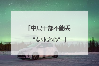 中层干部不能丢“专业之心”