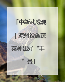中新武威观｜凉州设施蔬菜种出好“丰”景