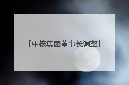 中核集团董事长调整