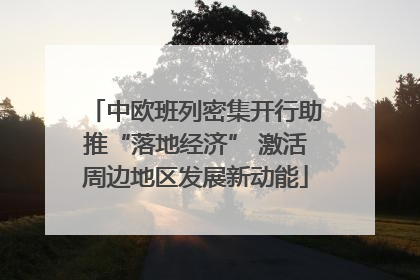 中欧班列密集开行助推“落地经济” 激活周边地区发展新动能