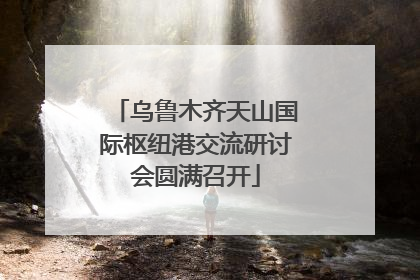 乌鲁木齐天山国际枢纽港交流研讨会圆满召开