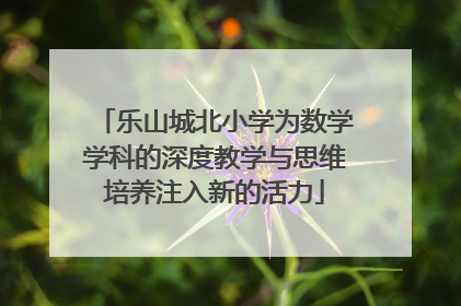 乐山城北小学为数学学科的深度教学与思维培养注入新的活力