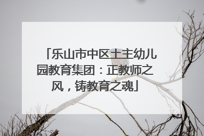 乐山市中区土主幼儿园教育集团：正教师之风，铸教育之魂