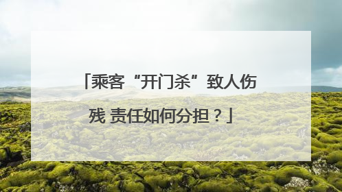 乘客“开门杀”致人伤残 责任如何分担？