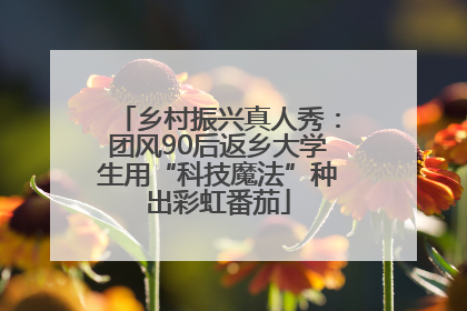 乡村振兴真人秀：团风90后返乡大学生用“科技魔法”种出彩虹番茄