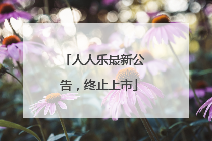 人人乐最新公告，终止上市
