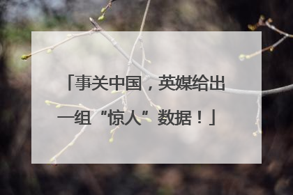 事关中国，英媒给出一组“惊人”数据！