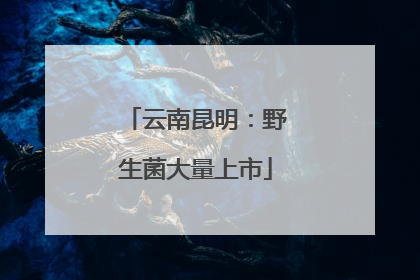 云南昆明：野生菌大量上市