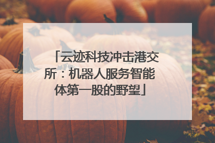 云迹科技冲击港交所：机器人服务智能体第一股的野望
