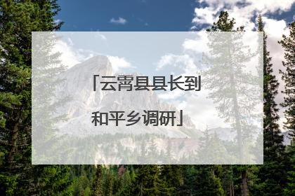 云霄县县长到和平乡调研